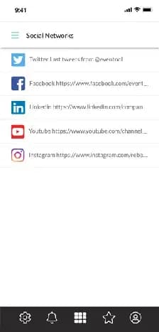 Social networks